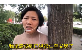 宜昌企业清欠服务